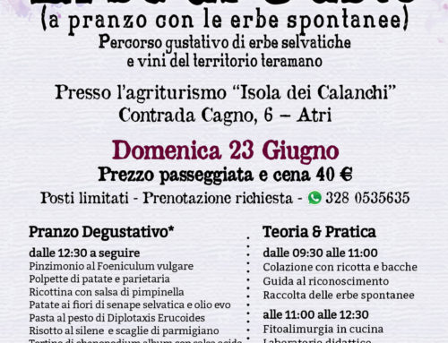 Domenica 23 Giugno 2019 – Erbe di Gusto nei Calanchi di Atri