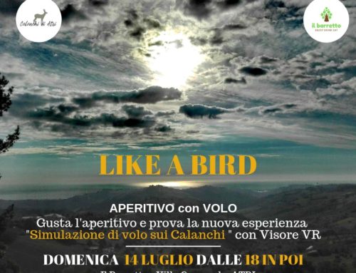 Domenica 14 Luglio 2019 – Like a Bird